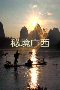 阶段性过剩？看中国光伏行业如何应对